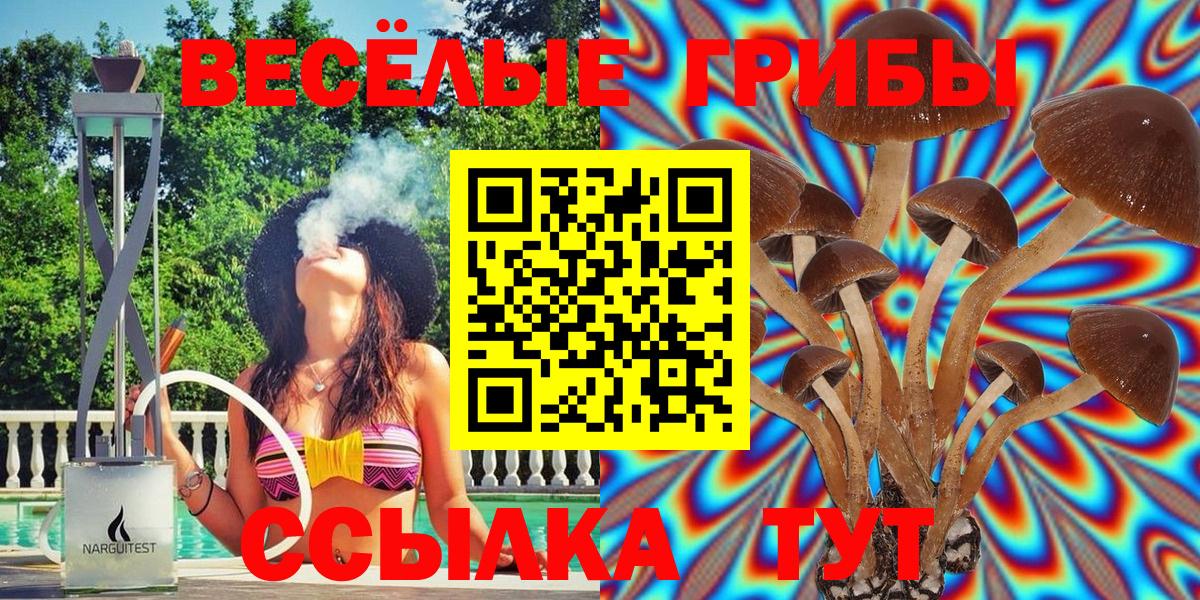 Галлюциногенные грибы Psilocybe  Вход с VPN  Электросталь 